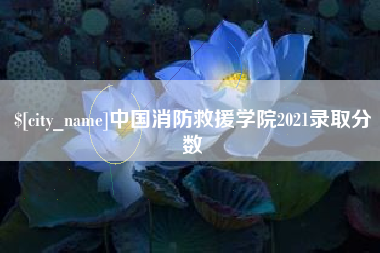 清徐中国消防救援学院2021录取分数