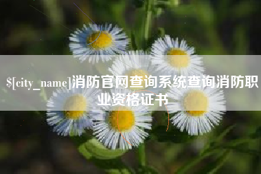 清徐消防官网查询系统查询消防职业资格证书
