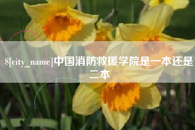 清徐中国消防救援学院是一本还是二本
