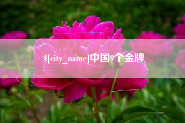 清徐中国9个金牌