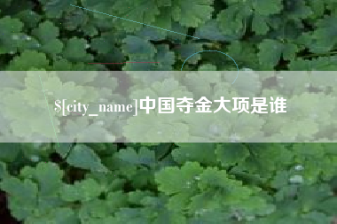 清徐中国夺金大项是谁