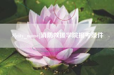 清徐消防救援学院报考条件