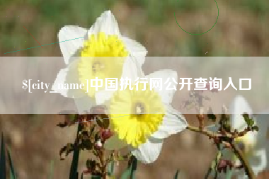 清徐中国执行网公开查询入口