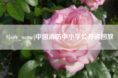 清徐中国消防中小学公开课回放