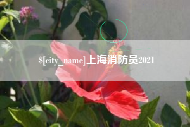清徐上海消防员2021