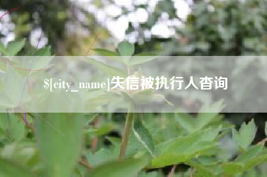 清徐失信被执行人杳询