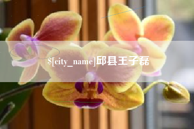 清徐邱县王子磊