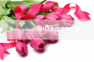 清徐11月9日全国消防日图片