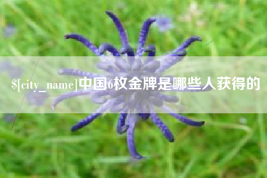 清徐中国6枚金牌是哪些人获得的