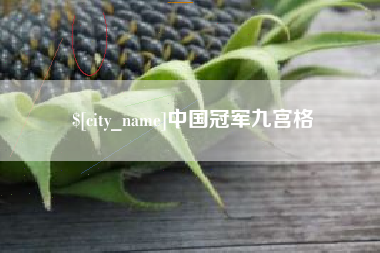清徐中国冠军九宫格