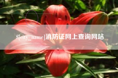 清徐消防证网上查询网站