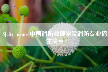 清徐中国消防救援学院消防专业招生简章