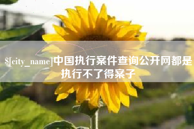 清徐中国执行案件查询公开网都是执行不了得案子