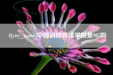 清徐中国消防救援学院是985吗