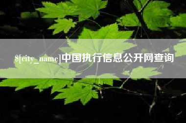清徐中国执行信息公开网查询