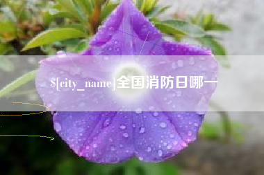 清徐全国消防日哪一