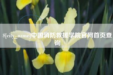 清徐中国消防救援学院官网首页查询
