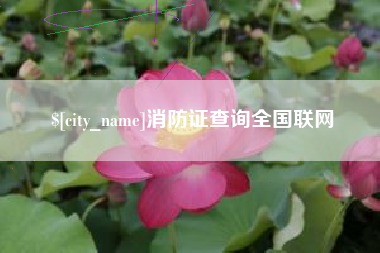 清徐消防证查询全国联网