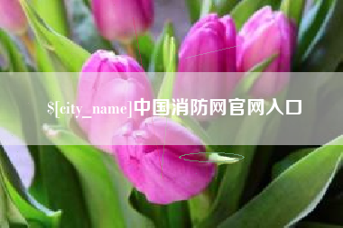 清徐中国消防网官网入口