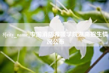 清徐中国消防救援学院湖南招生情况公布