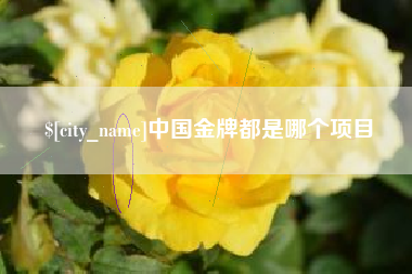 清徐中国金牌都是哪个项目