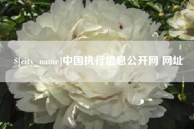 清徐中国执行信息公开网 网址