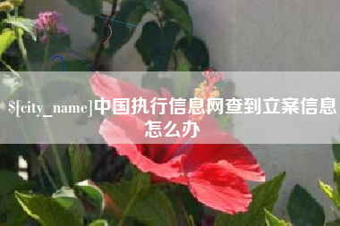 清徐中国执行信息网查到立案信息怎么办
