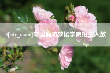 清徐中国消防救援学院招生人数
