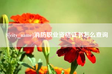 清徐消防职业资格证书怎么查询