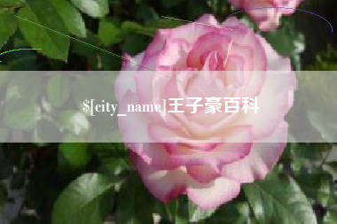 清徐王子豪百科