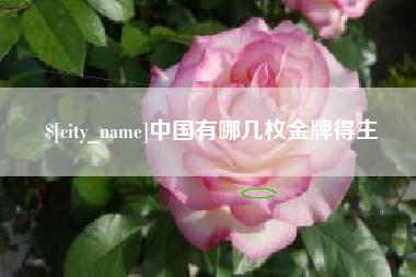 清徐中国有哪几枚金牌得主