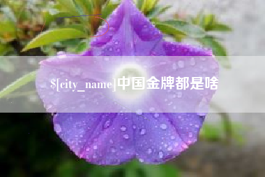 清徐中国金牌都是啥