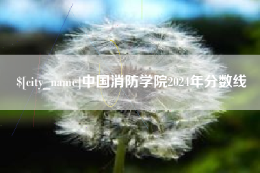 清徐中国消防学院2024年分数线
