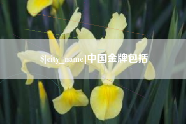 清徐中国金牌包括