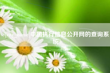 清徐中国执行信息公开网的查询系统