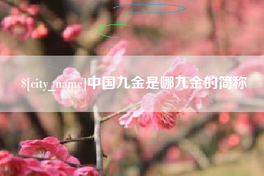 清徐中国九金是哪九金的简称