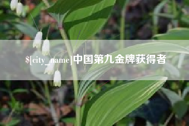 清徐中国第九金牌获得者