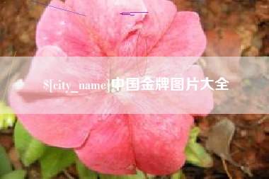 清徐中国金牌图片大全