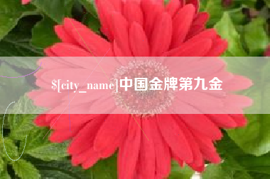 清徐中国金牌第九金