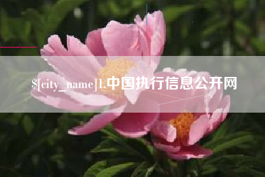 清徐1.中国执行信息公开网