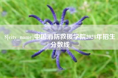 清徐中国消防救援学院2024年招生分数线