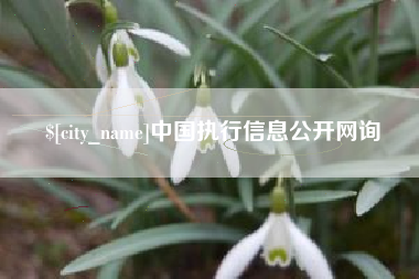 清徐中国执行信息公开网询