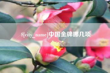 清徐中国金牌哪几项