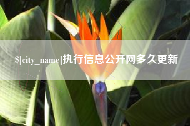 清徐执行信息公开网多久更新
