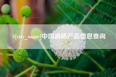 清徐中国消防产品信息查询