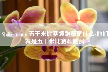 清徐五千米比赛领跑员是什么-他们就是五千米比赛领跑员