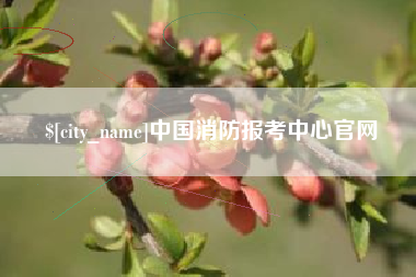 清徐中国消防报考中心官网
