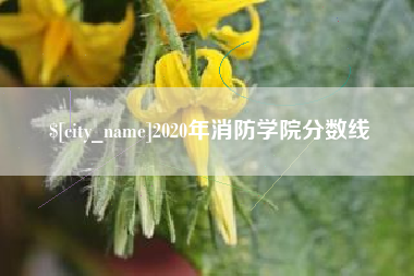 清徐2020年消防学院分数线