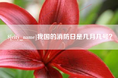 清徐我国的消防日是几月几号？