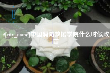 清徐中国消防救援学院什么时候政审